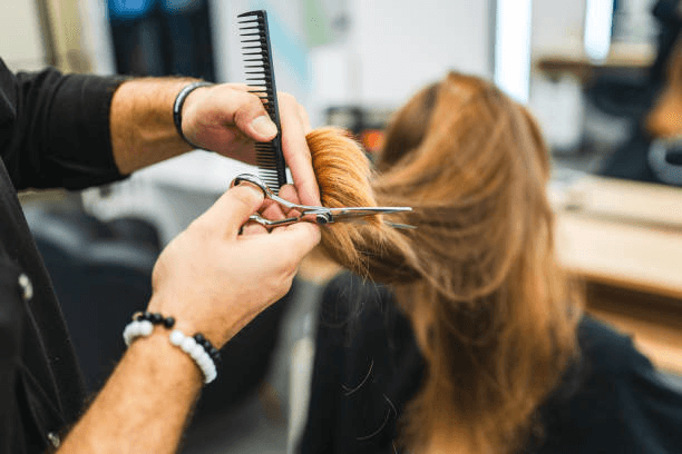 Corte